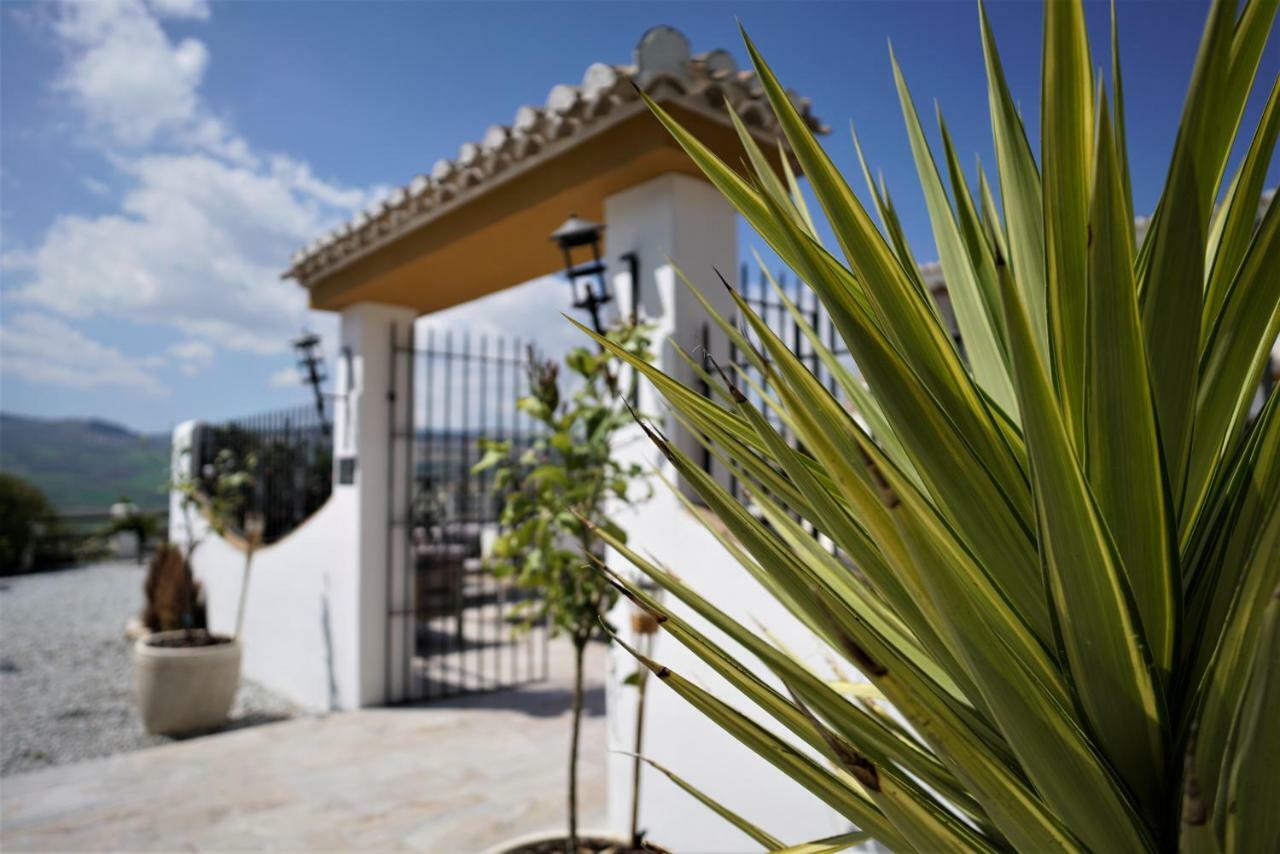 Bed and Breakfast El Amparo Alhama de Granada Esterno foto
