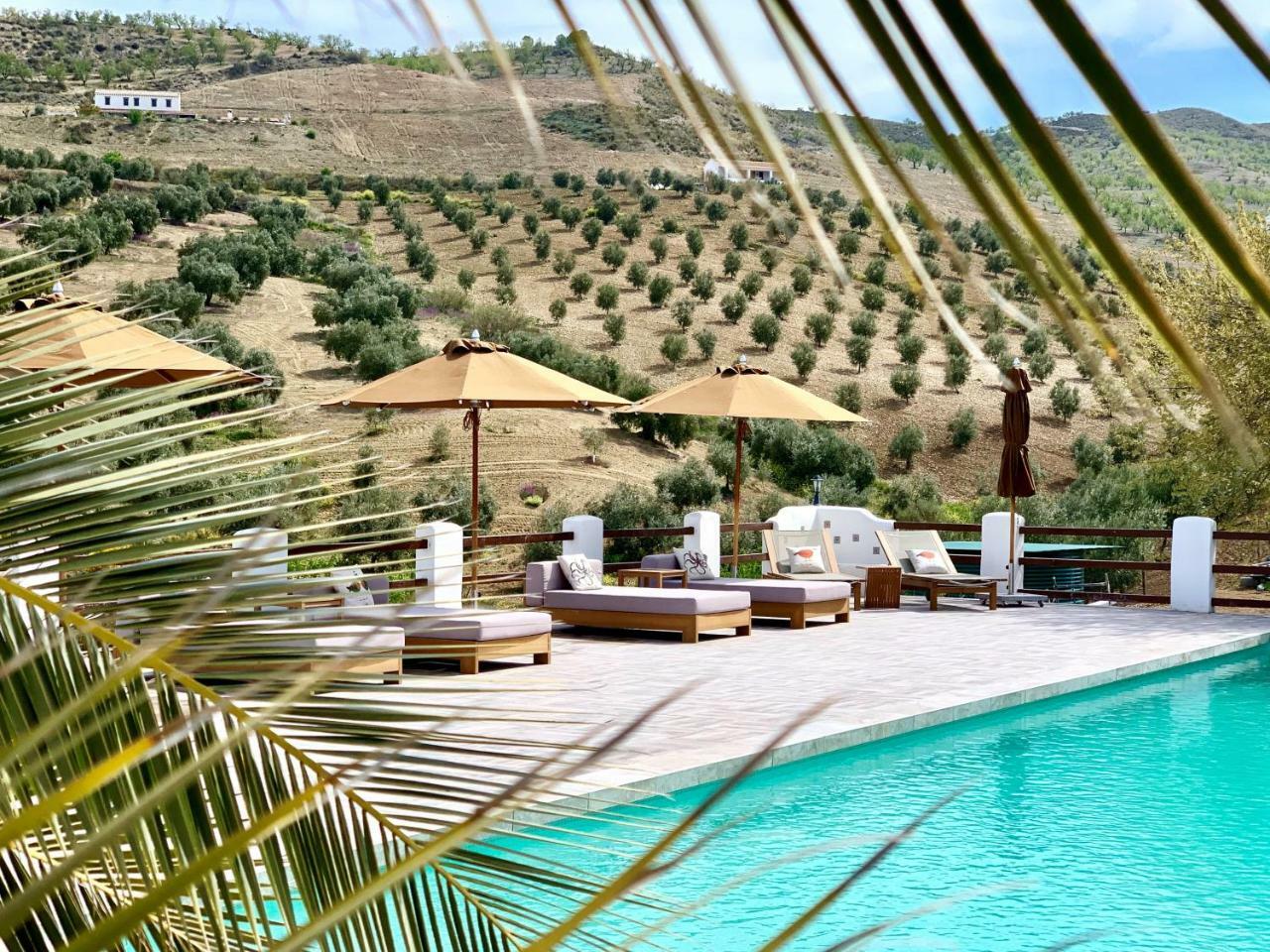 Bed and Breakfast El Amparo Alhama de Granada Esterno foto